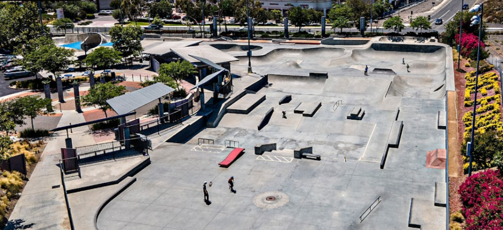 etnies lake forest (3)